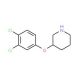 3-(3,4-Dichlorophenoxy)piperidine - chemical structure image