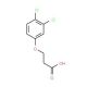 3-(3,4-dichlorophenoxy)propanoic acid - chemical structure image