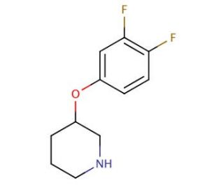 3-(3,4-Difluorophenoxy)piperidine (CAS 946714-62-1) - chemical structure image
