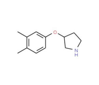 3-(3,4-Dimethylphenoxy)pyrrolidine - chemical structure image
