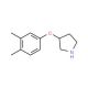 3-(3,4-Dimethylphenoxy)pyrrolidine - chemical structure image