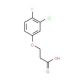 3-(3-chloro-4-fluorophenoxy)propanoic acid - chemical structure image