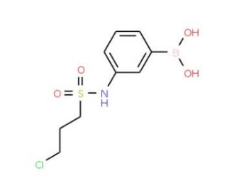 3-(3-Chloropropylsulfonamido)phenylboronic acid (CAS 913835-50-4) - chemical structure image