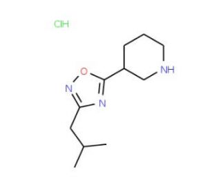 3-(3-Isobutyl-1,2,4-oxadiazol-5-yl)piperidinehydrochloride - chemical structure image