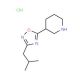 3-(3-Isobutyl-1,2,4-oxadiazol-5-yl)piperidinehydrochloride - chemical structure image