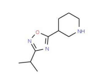 3-(3-Isopropyl-1,2,4-oxadiazol-5-yl)piperidine (CAS 902837-19-8) - chemical structure image