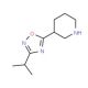 3-(3-Isopropyl-1,2,4-oxadiazol-5-yl)piperidine (CAS 902837-19-8) - chemical structure image