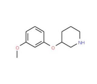 3-(3-Methoxyphenoxy)piperidine (CAS 902837-25-6) - chemical structure image