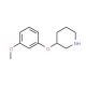 3-(3-Methoxyphenoxy)piperidine (CAS 902837-25-6) - chemical structure image