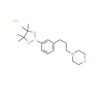 3-(3-morpholinopropyl)phenylboronic acid, pinacol ester, HCl (CAS 1150271-72-9) - chemical structure image