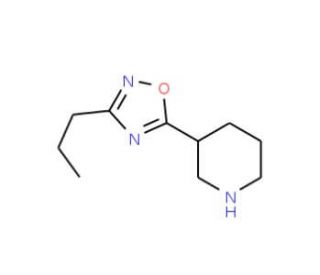 3-(3-n-Propyl-1,2,4-oxadiazol-5-yl)piperidine - chemical structure image