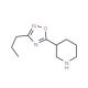 3-(3-n-Propyl-1,2,4-oxadiazol-5-yl)piperidine - chemical structure image