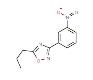 3-(3-Nitrophenyl)-5-propyl-1,2,4-oxadiazole (CAS 1033202-02-6) - chemical structure image