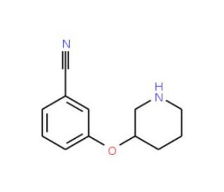 3-(3-Piperidinyloxy)benzonitrile (CAS 902836-93-5) - chemical structure image