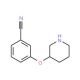 3-(3-Piperidinyloxy)benzonitrile (CAS 902836-93-5) - chemical structure image