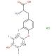 3,3′,5′-Triiodothyronine-(diiodophenyl-13C6) hydrochloride (CAS 1217676-14-6) - chemical structure image