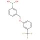 3-[3′-(Trifluoromethyl)phenoxymethyl]phenylboronic acid (CAS 870778-98-6) - chemical structure image