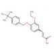 3-[4-(4-tert-Butyl-benzyloxy)-3-ethoxy-phenyl]-acrylic acid - chemical structure image