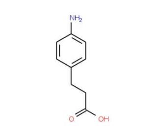 3-(4-Aminophenyl)propionic acid (CAS 2393-17-1) - chemical structure image