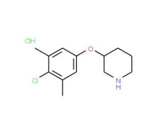 3-(4-Chloro-3,5-dimethylphenoxy)piperidine hydrochloride - chemical structure image