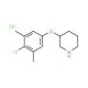 3-(4-Chloro-3,5-dimethylphenoxy)piperidine hydrochloride - chemical structure image