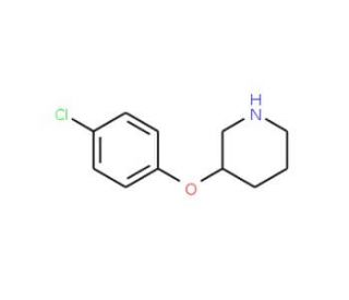 3-(4-Chlorophenoxy)piperidine (CAS 384346-27-4) - chemical structure image