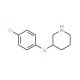 3-(4-Chlorophenoxy)piperidine (CAS 384346-27-4) - chemical structure image