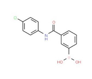 3-(4-Chlorophenylcarbamoyl)phenylboronic acid (CAS 874288-31-0) - chemical structure image