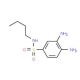 3,4-Diamino-N-butyl-benzenesulfonamide - chemical structure image