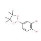3,4-Dibromophenylboronic acid, pinacol ester (CAS 1075719-78-6) - chemical structure image