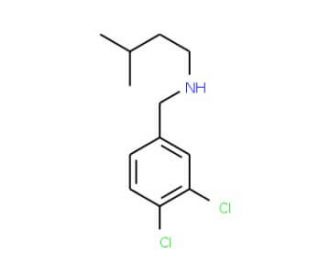 [(3,4-dichlorophenyl)methyl](3-methylbutyl)amine - chemical structure image