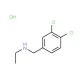 [(3,4-dichlorophenyl)methyl](ethyl)amine hydrochloride - chemical structure image
