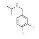 [(3,4-dichlorophenyl)methyl](propan-2-yl)amine - chemical structure image