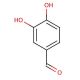 3,4-Dihydroxybenzaldehyde (CAS 139-85-5) - chemical structure image