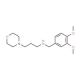 (3,4-Dimethoxy-benzyl)-(3-morpholin-4-yl-propyl)-amine - chemical structure image