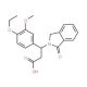 3-(4-Ethoxy-3-methoxyphenyl)-3-(1-oxo-1,3-dihydro-2H-isoindol-2-yl)propanoic acid 的分子结构 3-(4-Ethoxy-3-methoxyphenyl)-3-(1-oxo-1,3-dihydro-2H-isoindol-2-yl)propanoic acid - chemical structure image