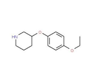 3-(4-Ethoxyphenoxy)piperidine (CAS 902837-36-9) - chemical structure image