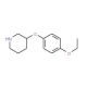 3-(4-Ethoxyphenoxy)piperidine (CAS 902837-36-9) - chemical structure image