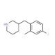 3-(4-Fluoro-2-methyl-benzyl)-piperidine (CAS 955315-13-6) - chemical structure image