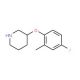 3-(4-Fluoro-2-methylphenoxy)piperidine - chemical structure image