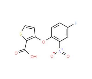 3-(4-Fluoro-2-nitrophenoxy)-2-thiophenecarboxylic acid - chemical structure image