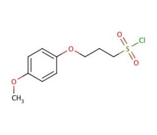 3-(4-Methoxyphenoxy)-1-propanesulfonyl chloride (CAS 118943-25-2) - chemical structure image
