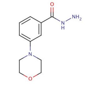 3-(4-Morpholinyl)benzoic Acid Hydrazide - chemical structure image