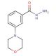 3-(4-Morpholinyl)benzoic Acid Hydrazide - chemical structure image