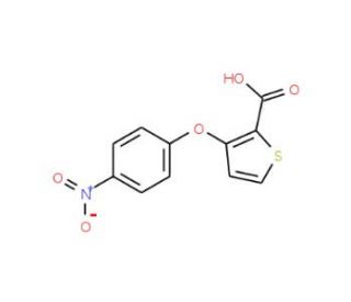 3-(4-Nitrophenoxy)-2-thiophenecarboxylic acid - chemical structure image