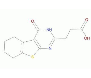 3-(4-Oxo-3,4,5,6,7,8-hexahydro-benzo[4,5]thieno[2,3-d]pyrimidin-2-yl)-propionic acid (CAS 109164-47-8) - chemical structure i