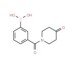3-(4-Oxopiperidine-1-carbonyl)phenylboronic acid (CAS 850567-32-7) - chemical structure image