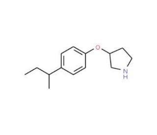 3-[4-(sec-Butyl)phenoxy]pyrrolidine - chemical structure image