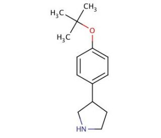 3-(4-tert-Butoxyphenyl)pyrrolidine (CAS 885277-97-4) - chemical structure image