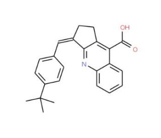 3-(4-tert-Butyl-benzylidene)-2,3-dihydro-1H-cyclopenta[b]quinoline-9-carboxylic acid - chemical structure image
